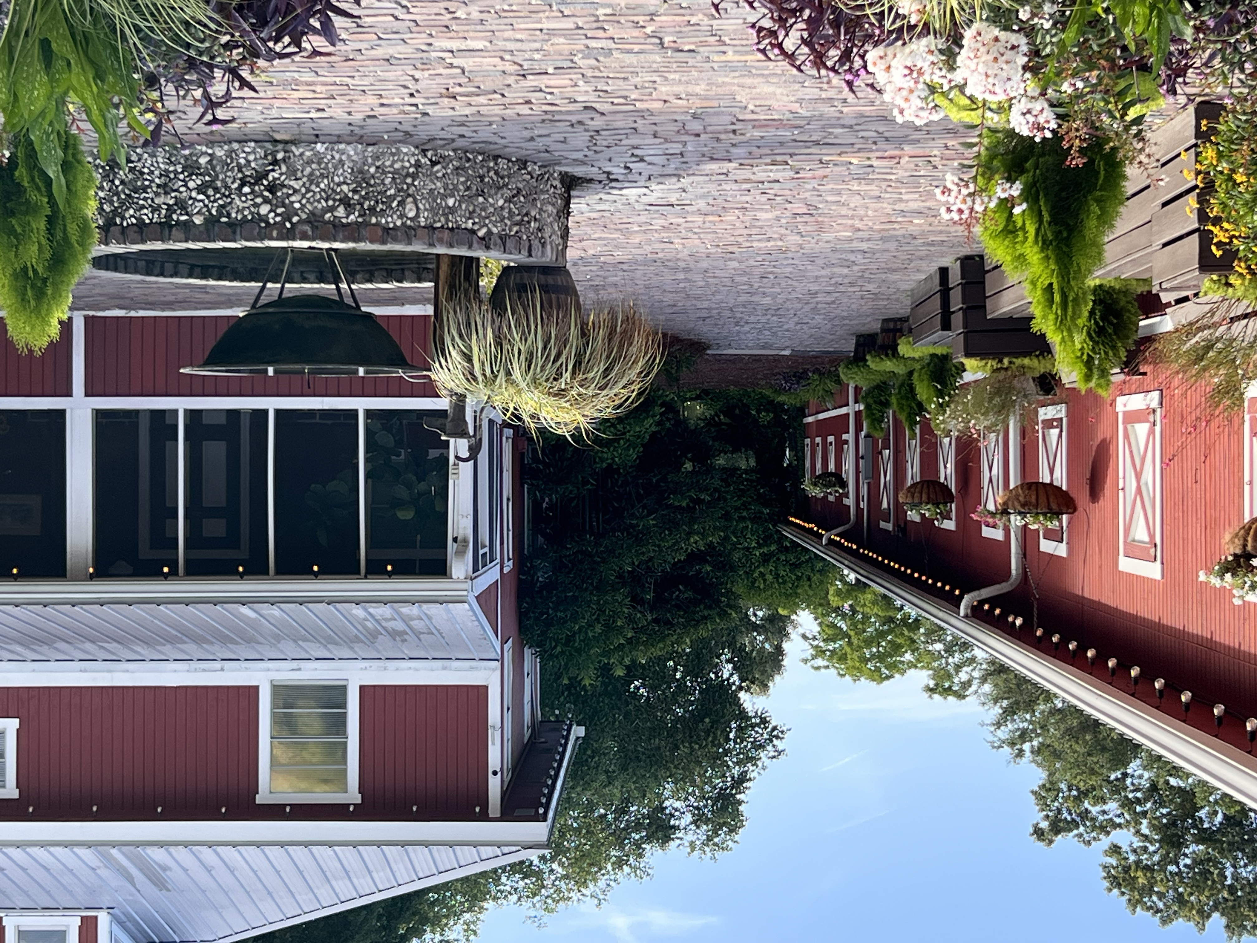 ./2025/06 - Savannah/IMG_1010.jpg